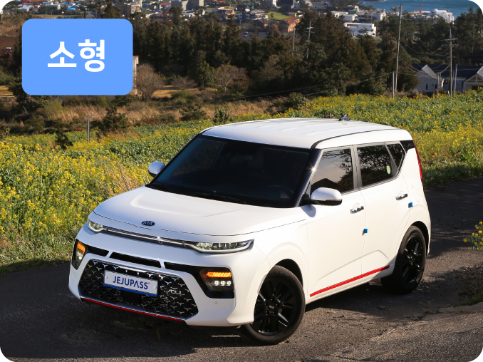 제주 소형 렌트카 추천 기아 쏘울