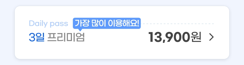 3일 프리미엄 13,900원