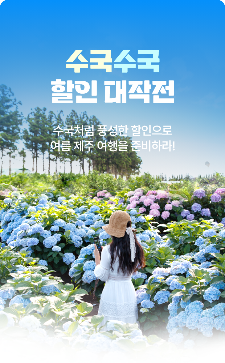 수국수국 할인대작전